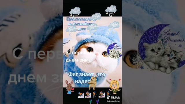 с добрым утром, здравствуй зима❄⛄❄⛄❄⛄