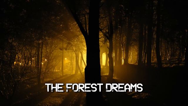 The Forest Dreams -- BackgroundHarp -- Royalty Free Music