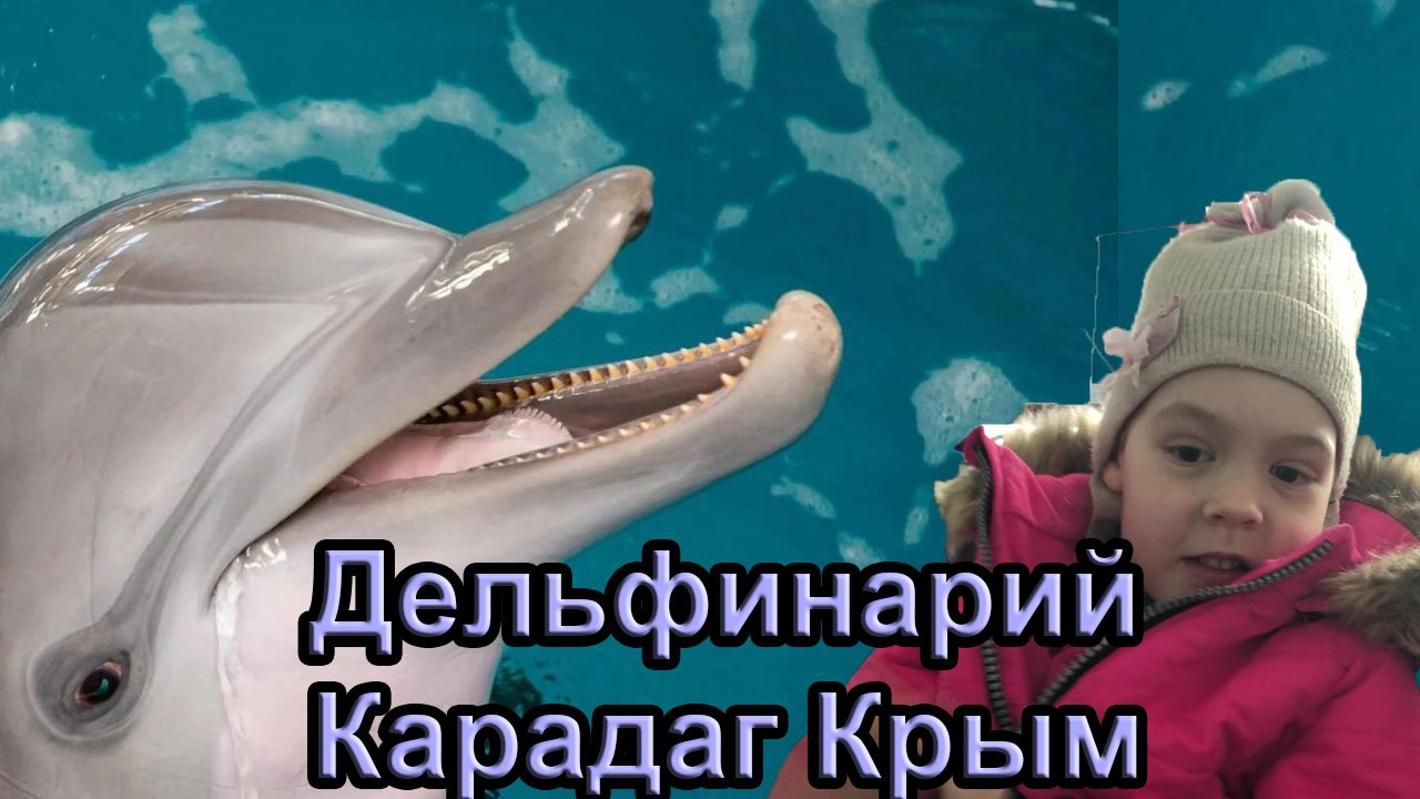 Кира посетила Дельфинарий на научной биостанции в заповеднике "Карадаг" с. Курортное, Крым