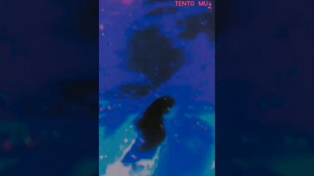 ᵀᴱᴺᵀᴼ ᴹᵁž - Yog Sothoth.v2