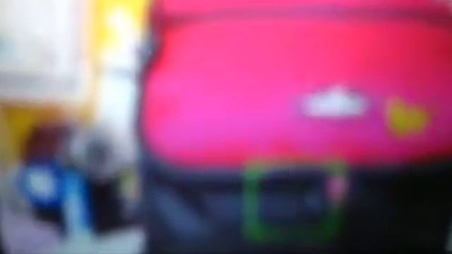 FujiFilm FinePix S 2980- Review