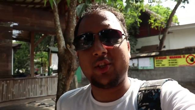 Java Street Food, Poop Coffee, Jogja's Coolest Hostel | Indonesia Ep 4