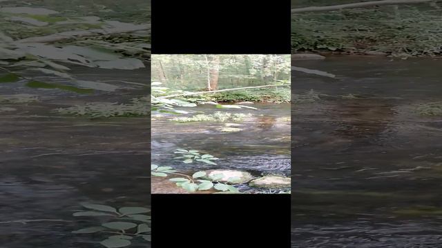 1000017755.mp4