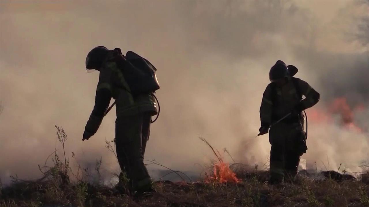 Из-за жары и засухи противопожарный режим введен в 47 российских регионах