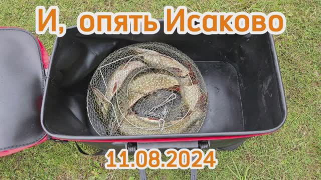 Рыбалка Челябинск Исаково 11.08.2024