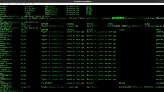 Docker Tutorial #14 - Container stoppen, Löschen von Images und Containern