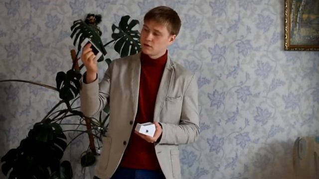 Без названия