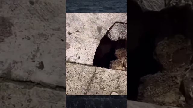 VID_20231218_135050_760.mp4