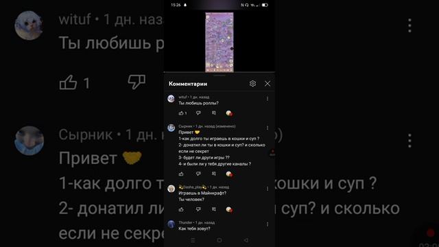 отвечаю на ваши вопросы вопрос ответ кошки и суп