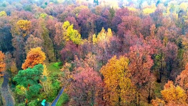 ОСЕНЬ, ПОСТОЙ.Стихи.В.Черноводский,музыка, аранж.С.Лабутин,вокал.Л.Великанова,звук.А.Макалиш