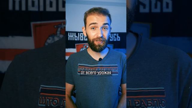 В Беларуси сгнило 1,5 тонны картофеля
