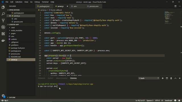 How to make shopify App with a starter