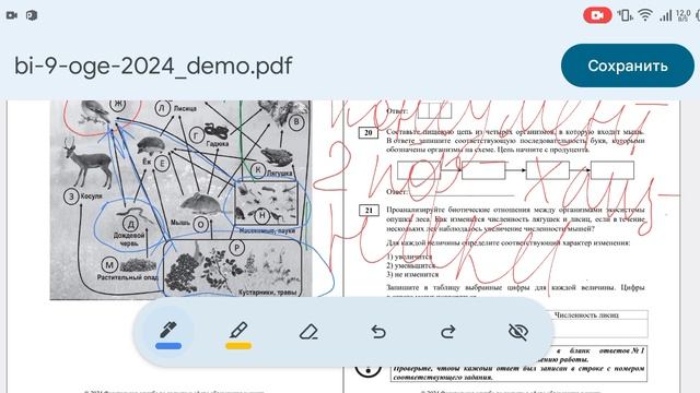 ОГЭ биология. Как решить задания по экологии.
