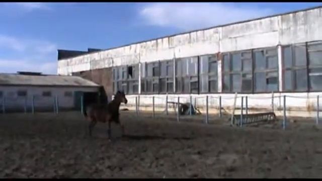 Пастэль