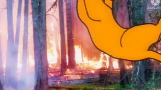 уголёк и белка (коты воители)