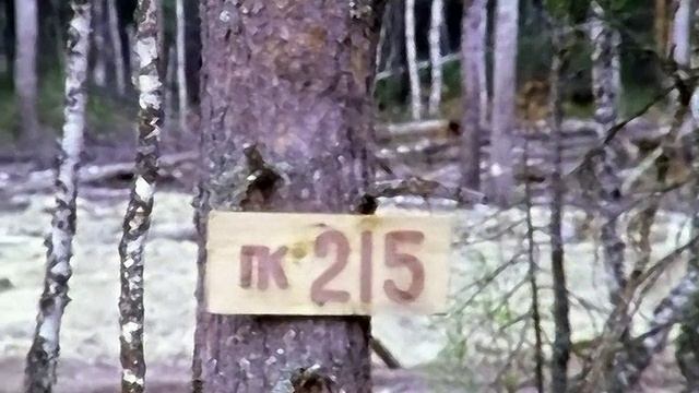 1977 год. Ханты-Мансийский округ. Строительство дороги к месторождению