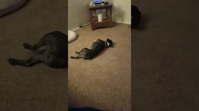 Ruby being silly