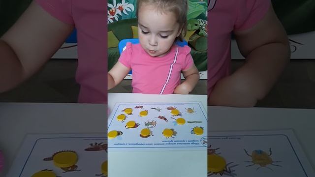 НАСЕКОМЫЕ - летают,  ползают,  скачут