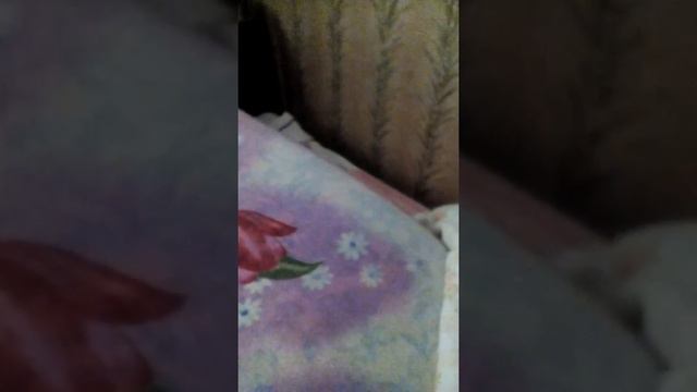 Как узнать имя суженного или суженной часть 1