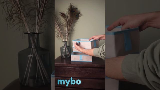 Органайзер для вещей Mybo 15х30см (Белый с голубым)