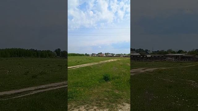 Обзор земельного участка д.Березовка Шпалозавод