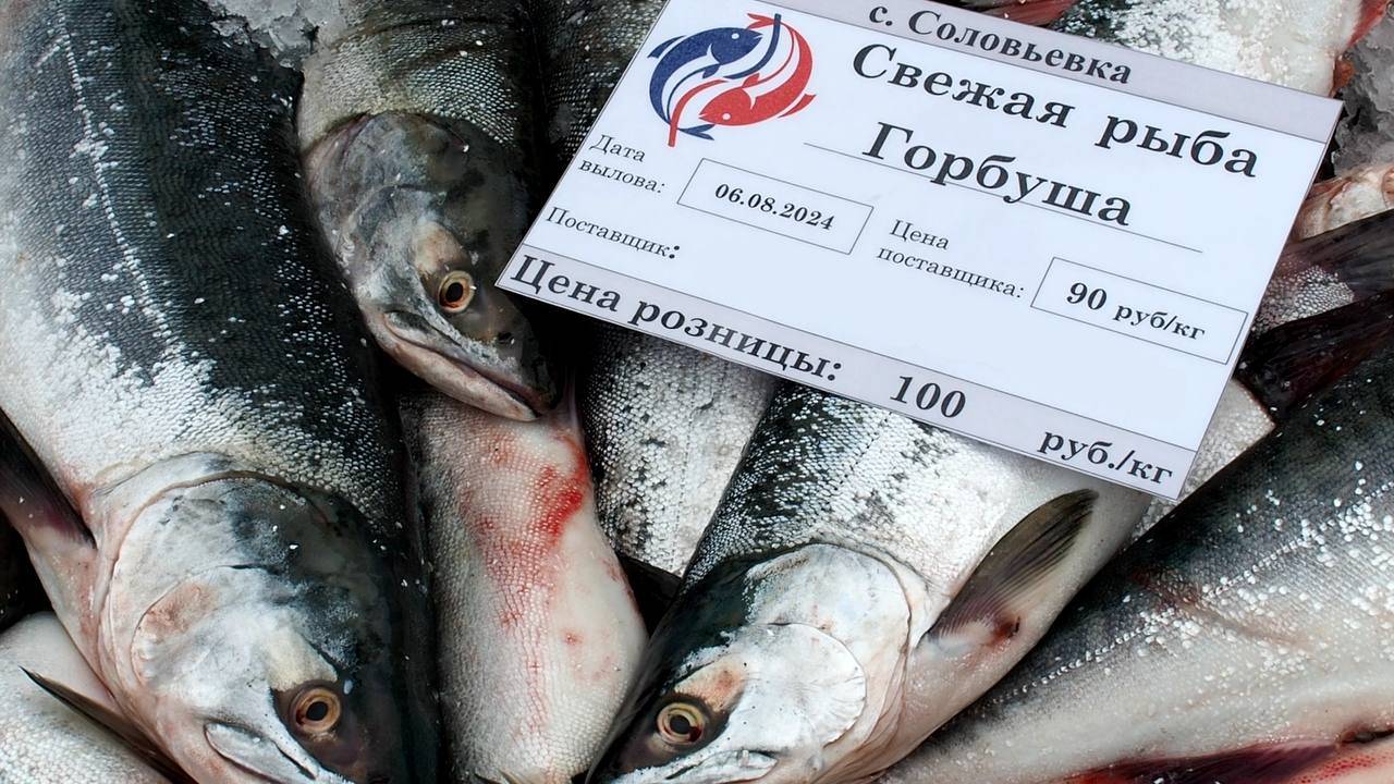 Красную рыбу по доступной цене смогли купить жители сел Корсаковского района