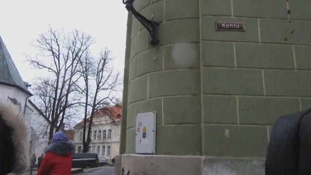 Дом К.Пятса. Сад Датского короля. Корни вместо ветвей! Средневековый рецепт грибного супа!:)