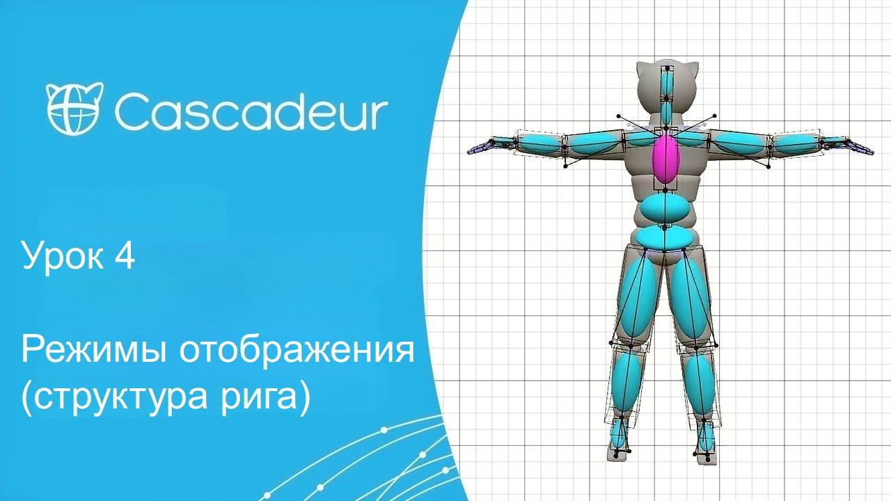 Урок 4 Cascadeur Режимы отображения (структура рига)