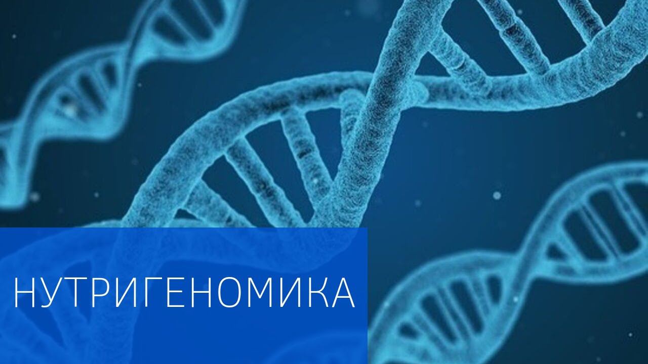 Нутригеномика: питание через призму генетики