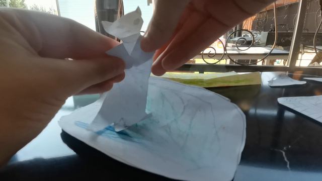 VID_20240727_112247.mp4
