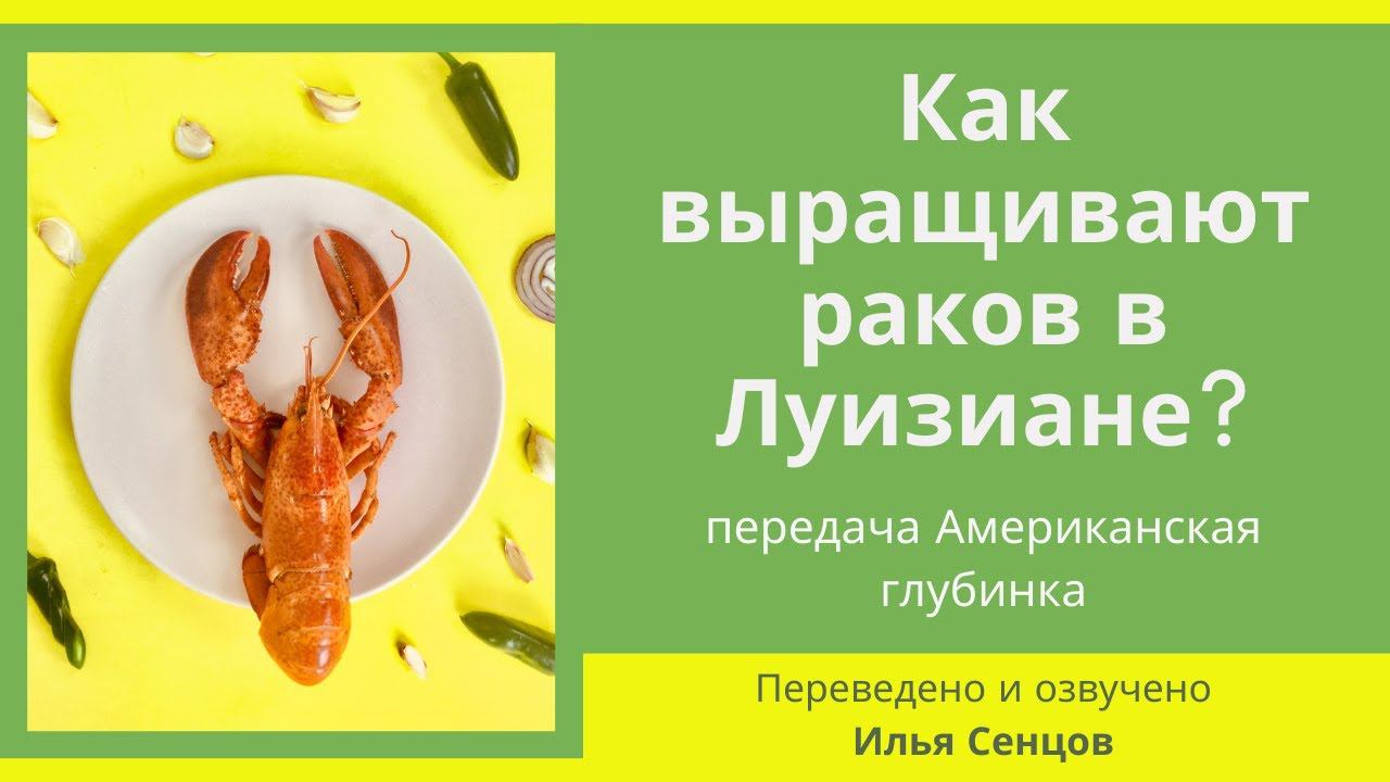 Как выращивают раков в Луизиане (передача Американская глубинка)
