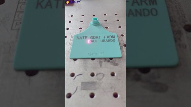 Customized information mark on livestock ear tags by CYCJET New Type Portable Fiber Laser Marking Ma