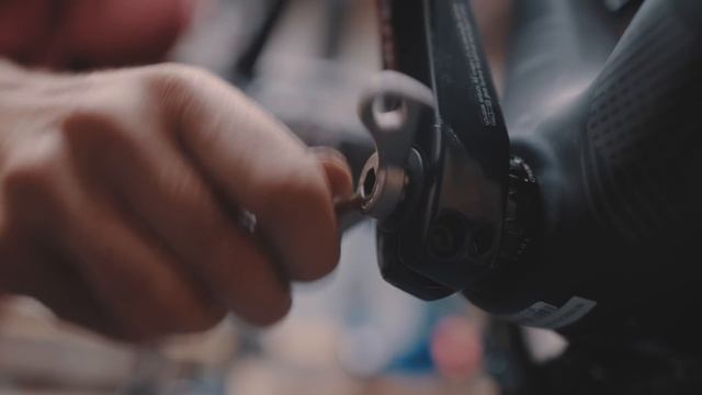 DREAM BUILD ROAD BIKE - S-Works Roubaix