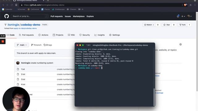 Good Practices with GitHub Issues