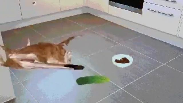 Предлагайте игры на пк для видео