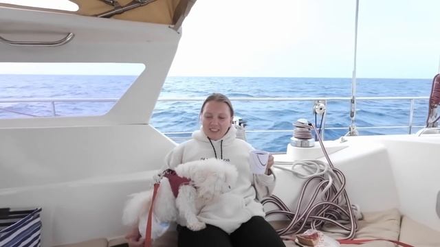 Сумасшедшие паромы || Ночные дельфины || Годовщина свадьбы || Ocean Attraction || s3e4