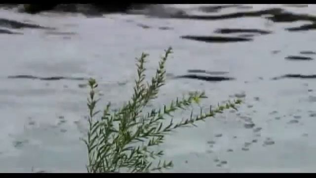 Como el Agua del Mar - Juan Vattuone