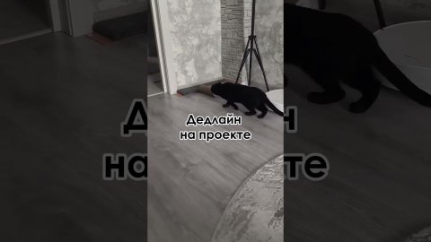 ТГ: codecafrontend #фронтенд #coding #programming