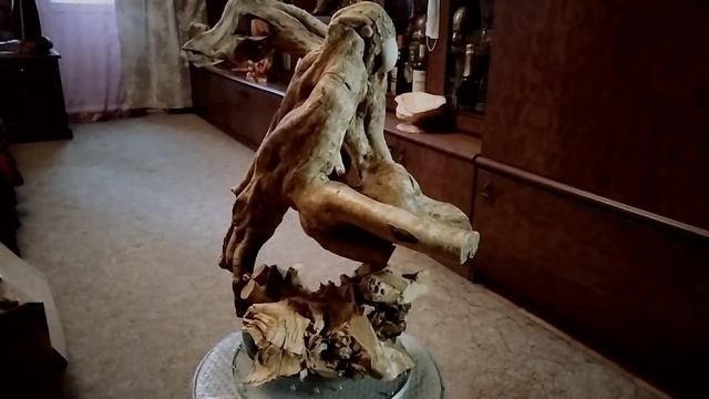 21 декабря 2020 года. Студия