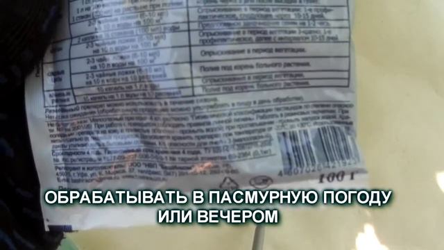 Применение биопрепаратов на винограднике.