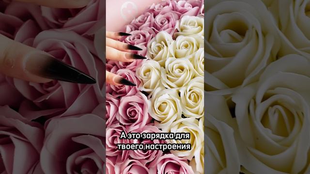 ВК : 101 мыльная роза Белгород