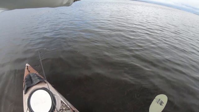 These BIG Snook & Redfish ONLY Wanted Topwater [Action-Packed]