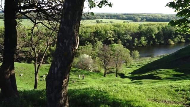 ЛУКЕРЬЯ КОШЕЛЕВА ЧАРЫ