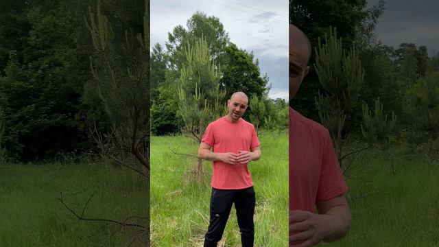 Лосиный #прогнозпогоды