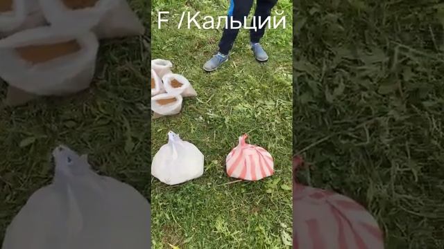 #Шылаушын#.F Кальций#Тараз#87078908088