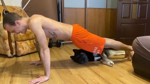 Что будет если отжиматься каждый день по 200 раз. Челлендж на месяц.