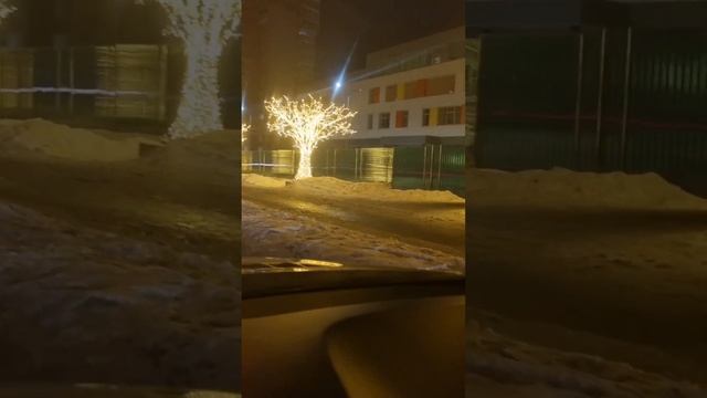Красиво украшенные деревья в Новой Москве (Щербинка) #москва #столица #щербинка #новаямосква #росси