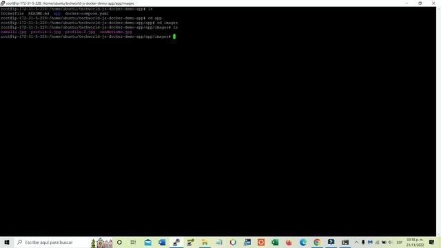 Despliegue local de aplicación web con AWS, Docker y Gitlab