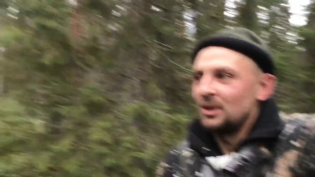 Охота на зайца Встретили медведя Охота в лесу