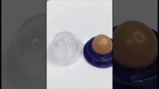 Твердая кошачья мята  Твердая кошачья мята